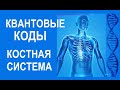 Квантовые коды. КОСТНАЯ СИСТЕМА