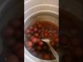 Village mini vlog 1 || Gulab jamun making || Mini vlog|| Asreeta Hembrom Vlogs #vlog #shorts