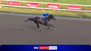 عودة Sovereignty! | جوهرة Godolphin يحقق فوزاً ساحقاً في سباق Whitney Stakes من الفئة الأولى في S... screenshot 1