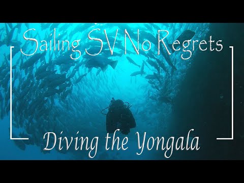 Video: Wreck Diving Australia: 3 Sivustoa, Joissa Voit Käydä Nyt - Matador Network