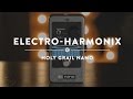 Гітарна педаль ефектів Electro-harmonix Holy Grail Nano