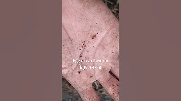 Vermicompost harvest