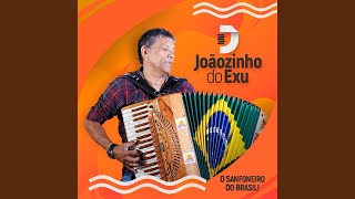 Video thumbnail of "Joãozinho do Exú - Menino Bicho"