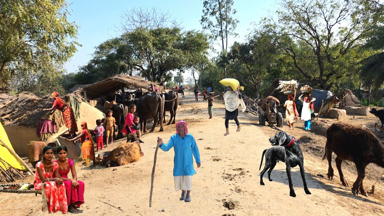 🇮🇳You Won't Believe It After Seeing This. ] New India Of 2026 [ #indiaVillagelife #gankadesivlog 