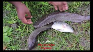 Traditional Hook Fishing - Hook Fishing Fishing With Beautiful Nature   (Part 21)