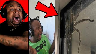 try not to get scared challenge HUGE BUG EDITION!!! Reaction!