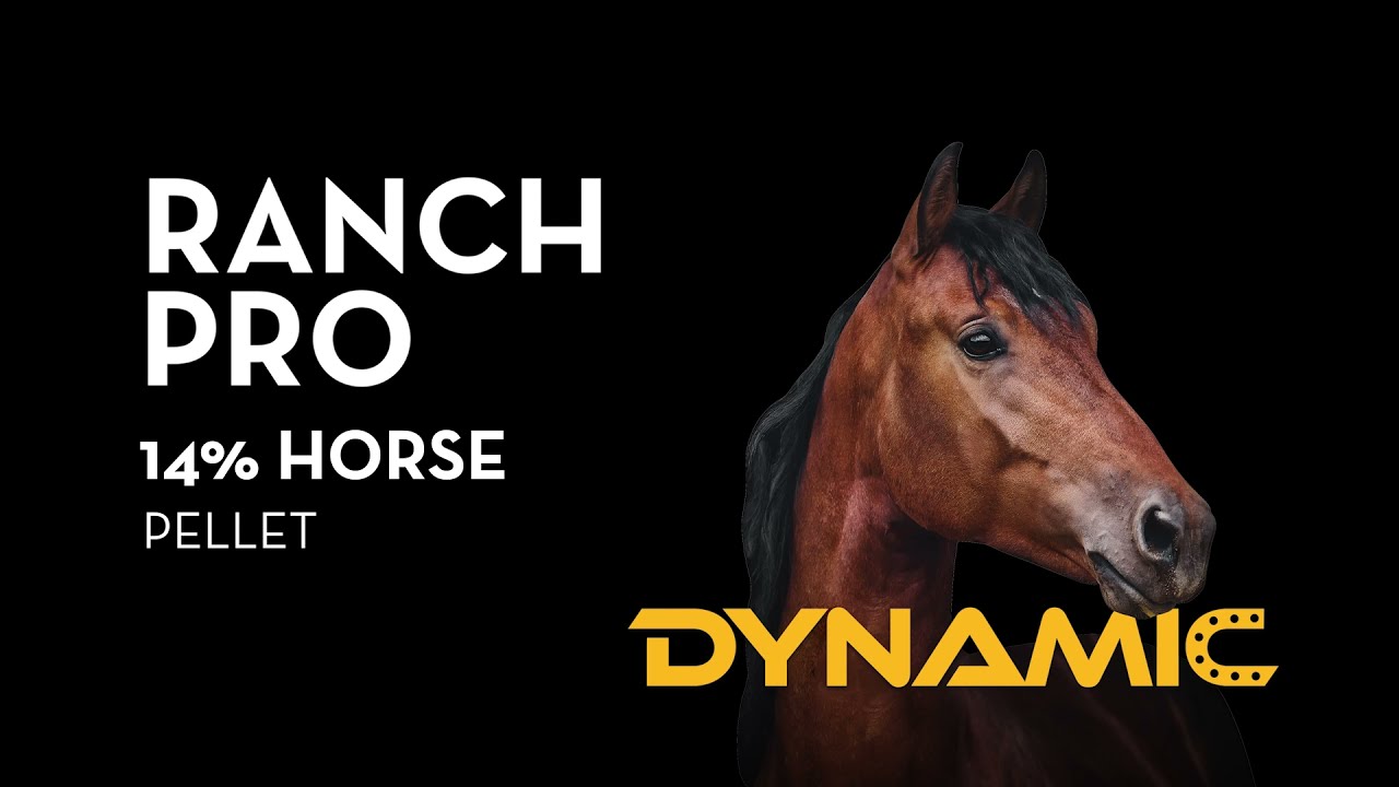 Introducing Ranch Pro Dynamic 14% Horse Feed
