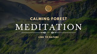 Daily Meditation - 15 Minutes in Nature - Ambient Sounds