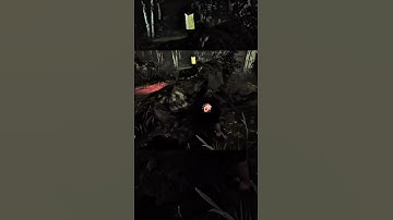 The Most Adorable Chucky🥺🔪 #deadbydaylight #dbd #dbdkiller #dbdclips #dbdmemes #dbdgameplay