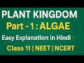 🌿 Plant Kingdom - Algae | Classification, Structure &amp; Importance  #BiologyPlantKingdom #Algae