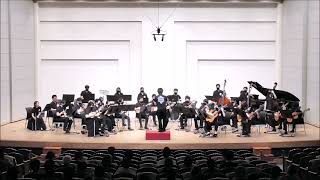 Video voorbeeld van "TRIANGLE STRATEGY「Main Theme」 -Mandolin Orchestra"