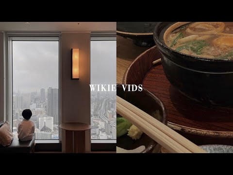 🇯🇵 Travel Vlog 東京日常生活・移居日本 | 一家四口在Tesla裡睡一晚的名古屋之旅 ・Stay overnight at Tesla in Nagoya / wikievids