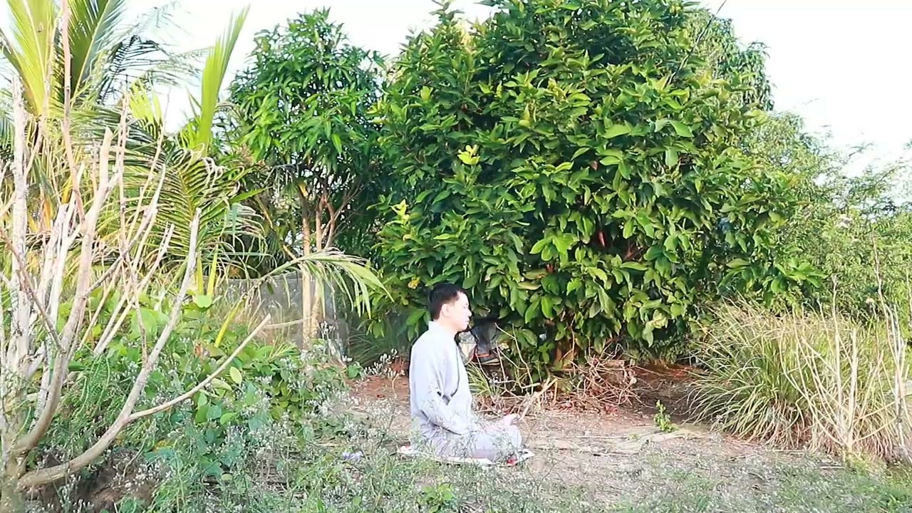 Thiền #buddha #meditation #zen