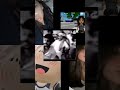 يا عيونك يا حلوه
