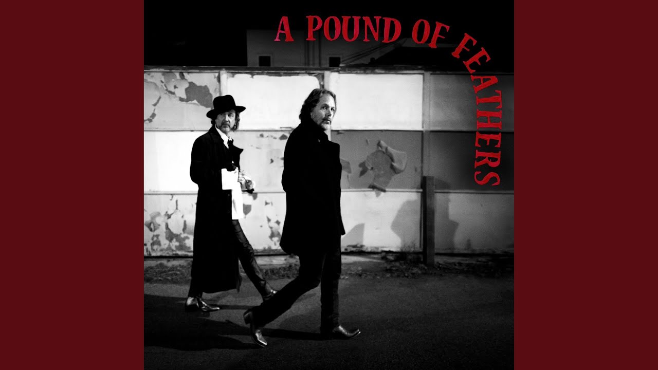 祝来日ブラック・クロウズ最新作A Pound of Feathers直筆サイン付 ブラック・クロウズ 最新アルバム『A Pound Of Feathers』2026年3月