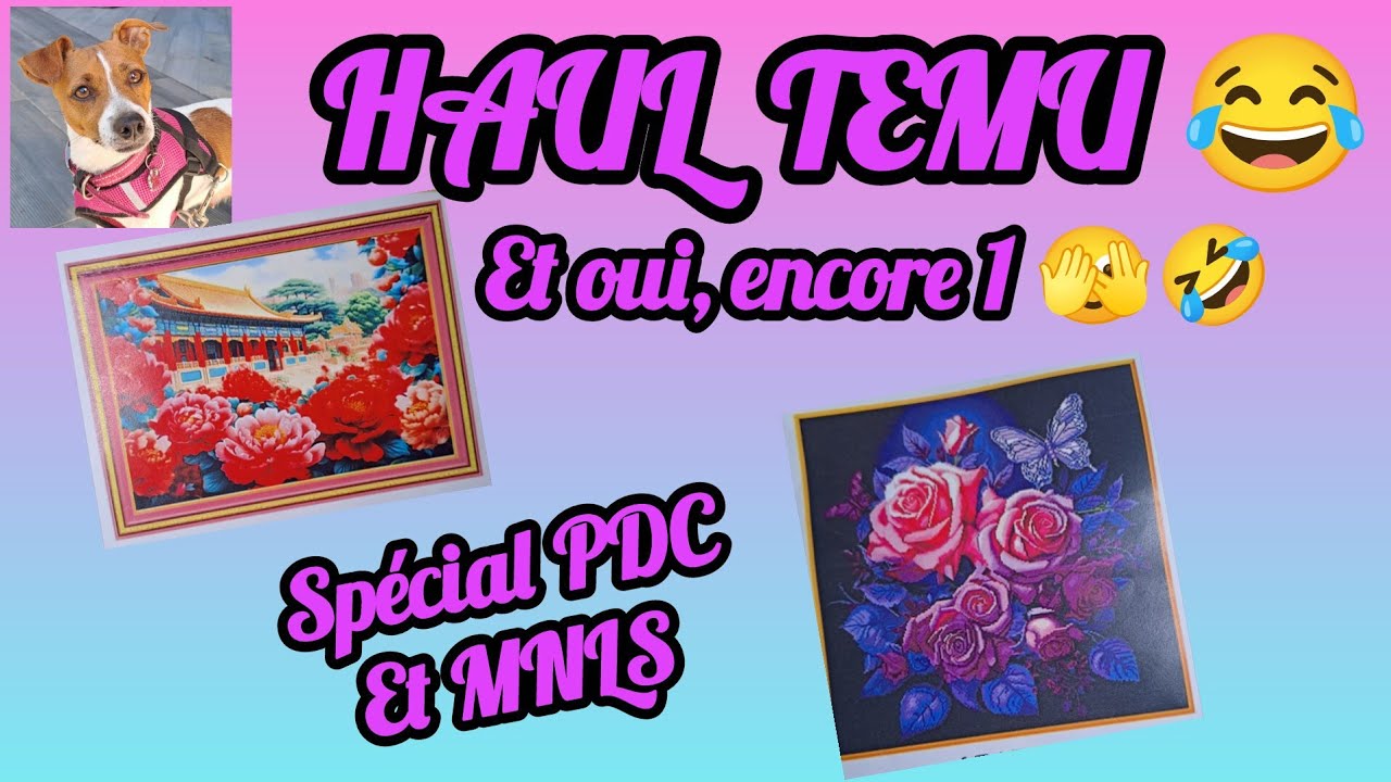 HAUL TEMU : SPÉCIAL PDC ET MNLS #pointdecroix #plaisir #pourtoi #pourtous 
