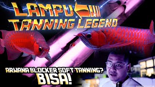 Mengenal Lampu Tanning Arwana Legendaris! Kembali ke Masa Lalu!