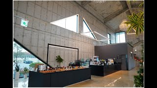 세모카페 영상