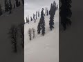 Jammu and Kashmir #kashmir #kashmirtourism#srinagar#gulmargsnowfall#heavenonearth