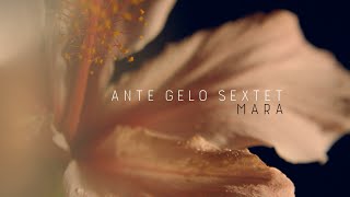 Ante Gelo Tet - Mara Visual