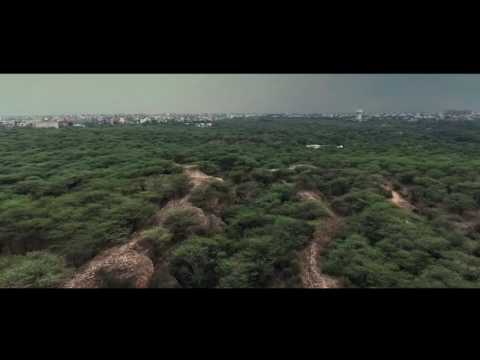 Delhi Ridge - the green lungs of Delhi || A short feature