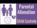 Parental Alienation in Child Custody Cases