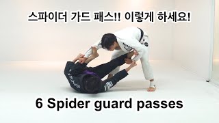 스파이더 가드 패스 !!