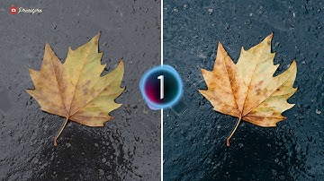 FREE Capture One Style | Macro Film - Presetpro.com