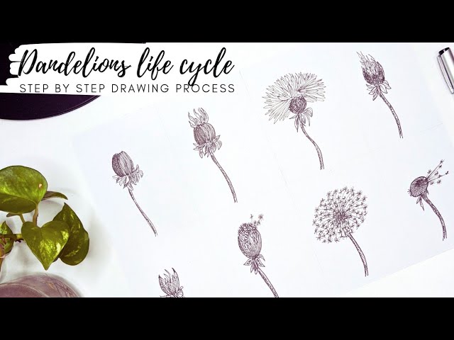 Here's a step by step process for the dandelion staffs I adore