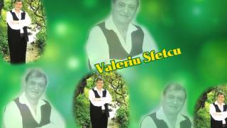 Valeriu Sfetcu-Copiii de azi mai uita (Official Audio) NOU