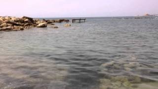 Beach Alexander The Great Beach Hotel  Pafos Cyprus  Александр Великий Бич Отель Пафос Кипр 2