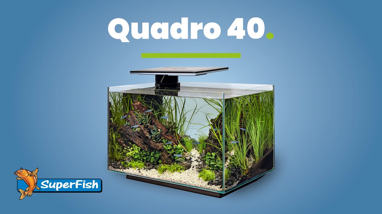 SuperFish  Quadro 40 Pro 