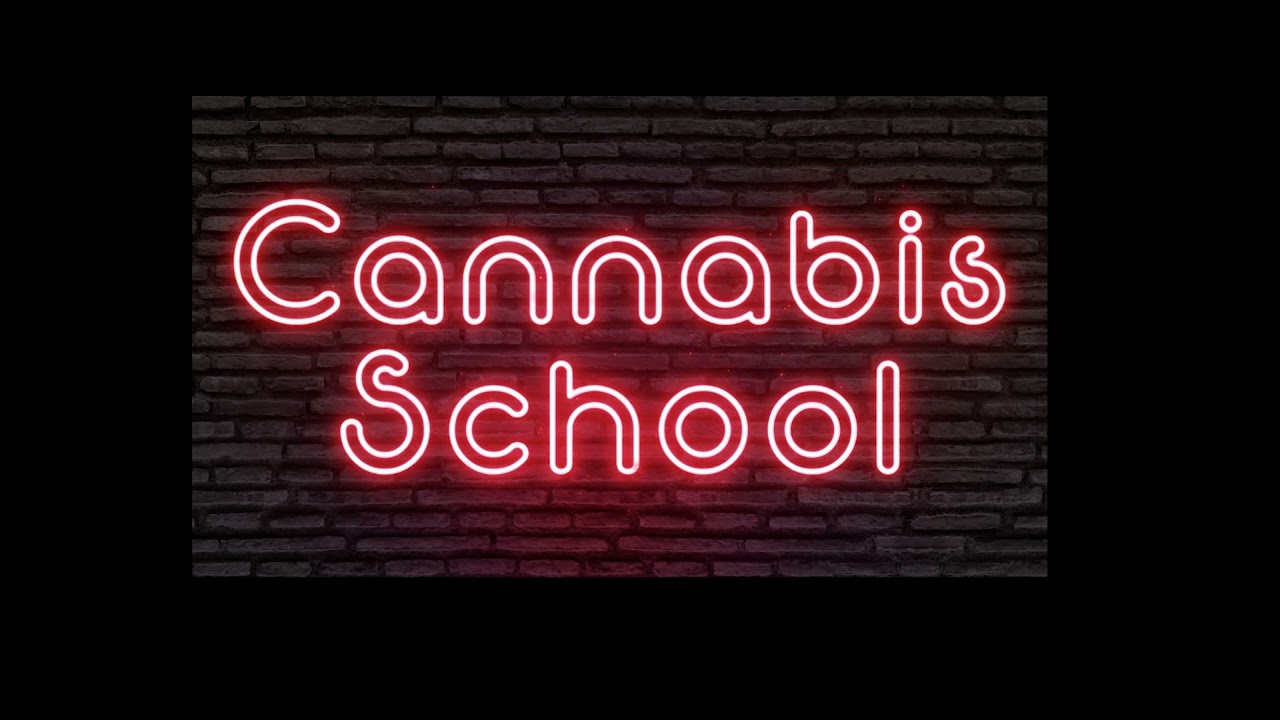 Sundae Driver - Hybrid