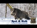 Spot & Stalk winter hog - BH 02