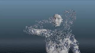 FilmFX_Disintegration_SkinFlakes_v001