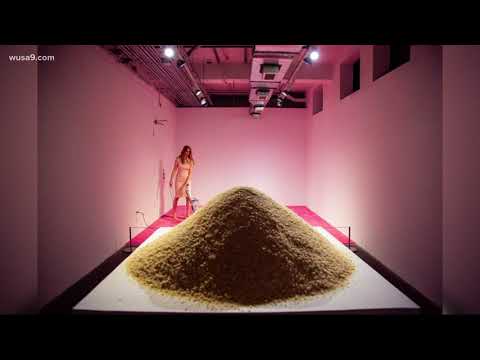 Most DC Thing: Exhibit dedicated to 'Ivanka vacuuming'