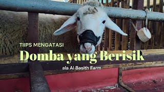 Dealing with Noisy Sheep. Watch this video. Don't skip it to avoid misunderstanding.