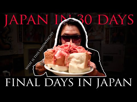 Travel vlog Japan 2024 - Japan in 30 days - WHAT IS THIS SANDWHICH?!