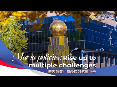 Live: macro policies - rise up to multiple challenges - part ii