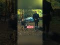 Domowy pies wychował dzikiego kociaka 🐶🐱❤️ | Część 02 | #shorts