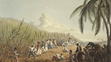 XSPY ft. BOB Maui – Ik Vergeet Niet (Official Demo Video)