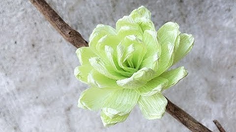 ABC TV | How To Make Paper Flower From Crepe Paper - Craft Tutorial