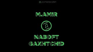 Video thumbnail of "M.AMIR - Naboft gaxhtchid / LYRICS VIDEO / Pomere Sozen"