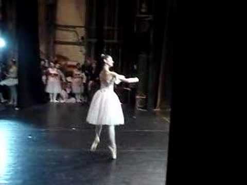 Aru Olga Swan Lake