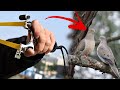 Modern Laser Slingshots For Birds Hunting | Hunting Equipments | Hunting Gears