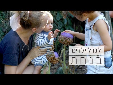 וִידֵאוֹ: מהם עקרונות הביטחון הפיזי?