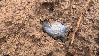 It's ALL There! ~ 355  Artifact Find! Oct 2015