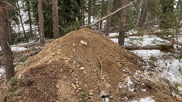 Septic engineering test pits