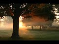الشيخ عبدالودود مقبول حنيف سورة غافر