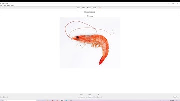 How to Add Image to Show With Answer Only with Reverse Anki Deck
